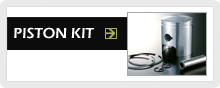 PISTON KIT